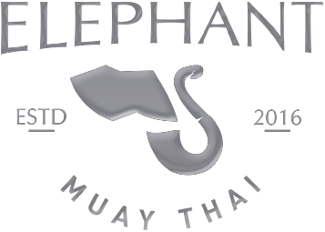 Elephant Muay Thai