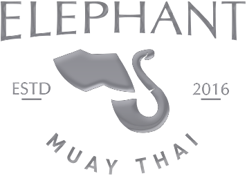 Elephant Muay Thai